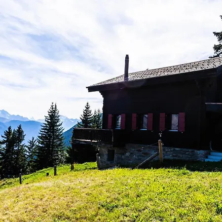 Lejlighed Soldanella Chalet, Golmenegg Riederalp